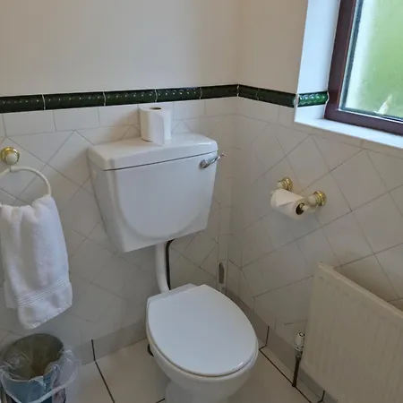 Guest house Hilltown House Wexford